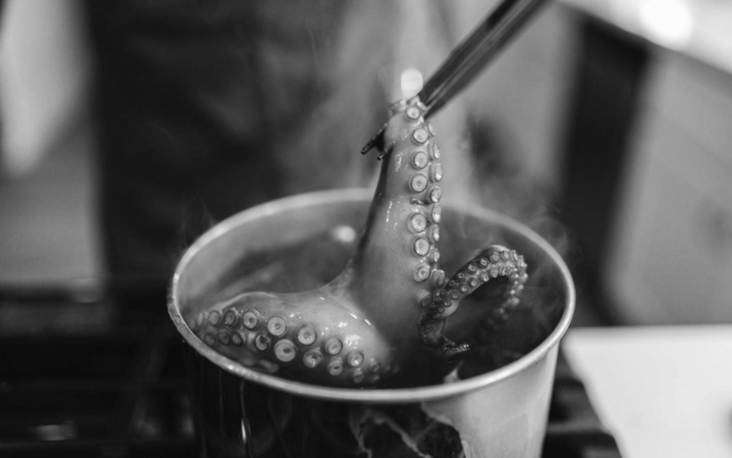 Advanced culinary technique demonstration showing precise knife work and ingredient preparation